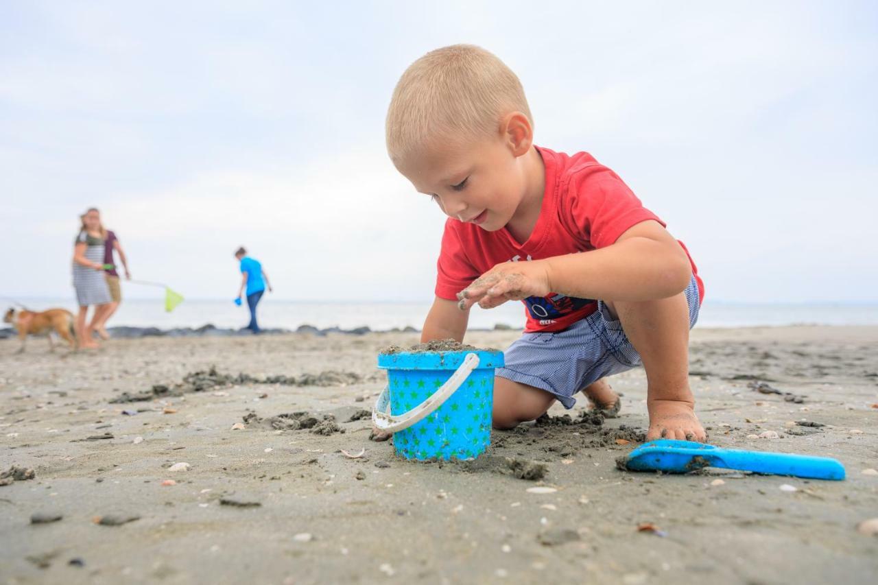 Camping Scheldeoord Baarland Ngoại thất bức ảnh