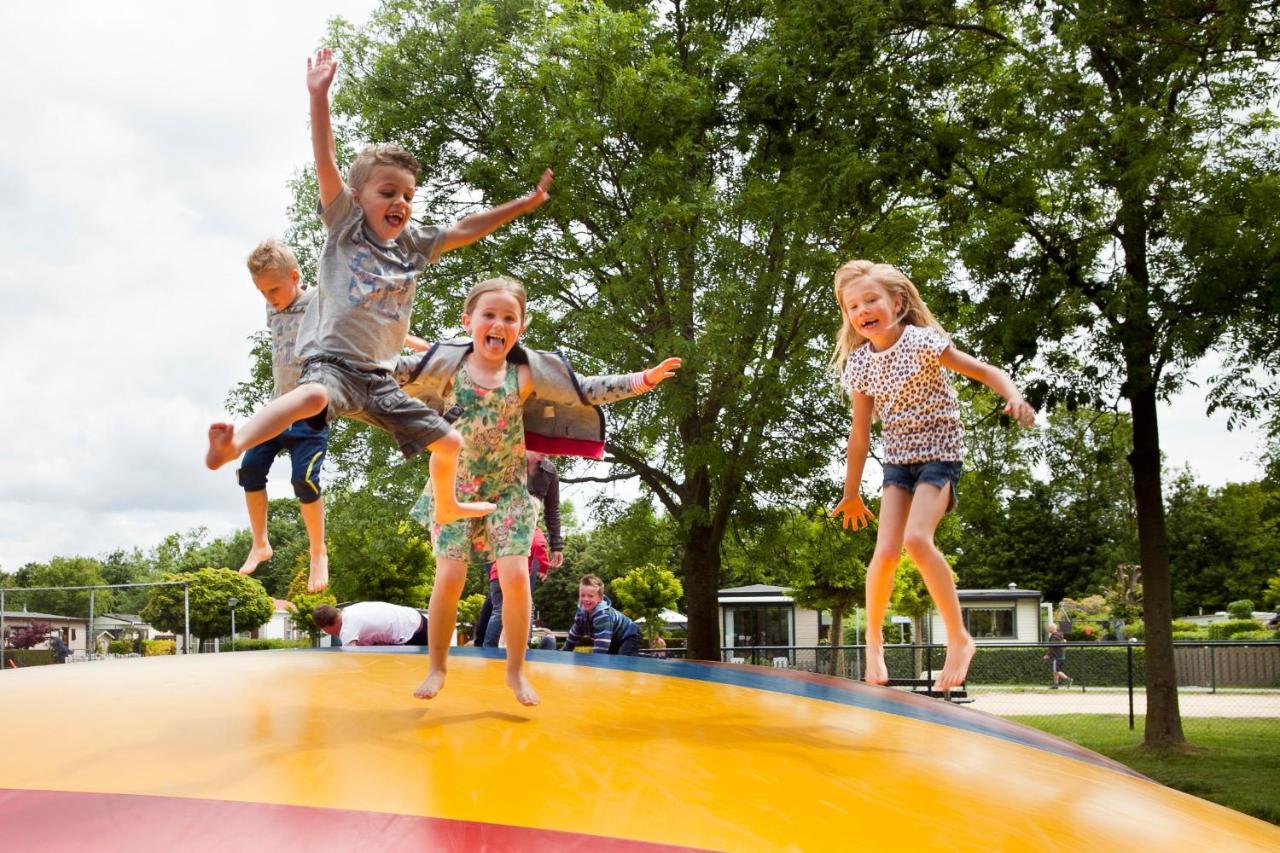 Camping Scheldeoord Baarland Ngoại thất bức ảnh